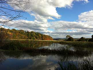 Fall Scene